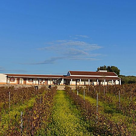 Гостевой дом Turismo Rural Pedremoura Vila Ruiva  Экстерьер фото